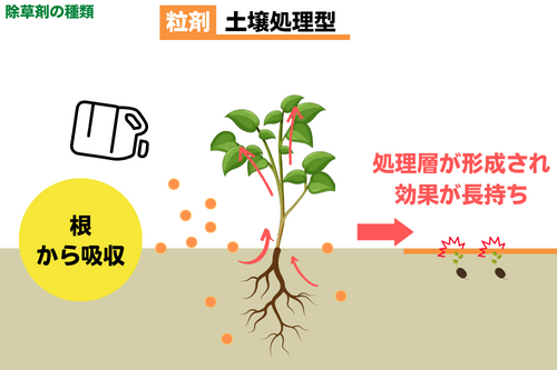土壌処理型粒材除草剤の特徴