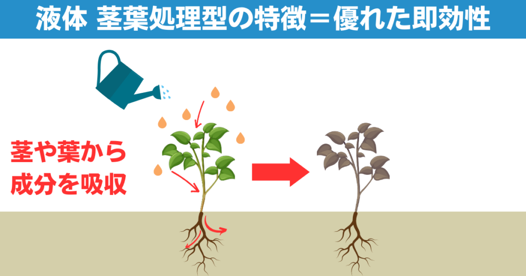 液体除草剤、茎葉処理型の効果の仕組み図解